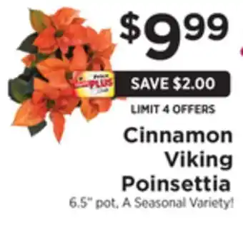 ShopRite Cinnamon viking poinsettia offer