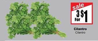 Rancho Markets Cilantro offer