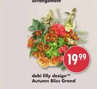 Safeway Debi lilly design autumn bliss grand offer