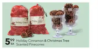 Holiday cinnamon & christmas tree scented pinecones