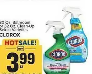 Food Lion Bathroom or clean-up clorox offer
