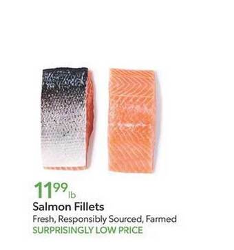 Publix Salmon fillets offer