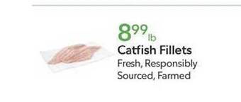 Publix Catfish fillets offer