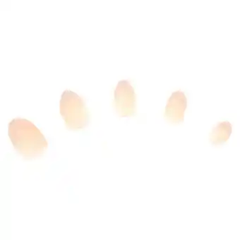 Claire's Simple french tip stiletto press on faux nail set - 24 pack offer