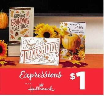 Dollar Tree Expressions from hallmark offer
