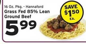 Hannaford Grass fed 85% lean ground beef offer