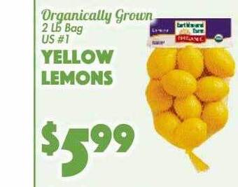 The Food Emporium Yellow lemons offer
