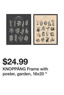 Ikea Knoppäng frame with poster, garden, 16x20 " offer