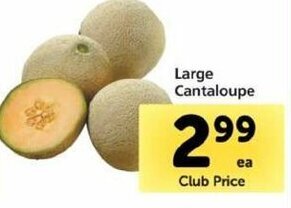 Safeway Large Cantaloupe offer