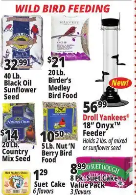 Ocean State Job Lot Wild bird feed offer