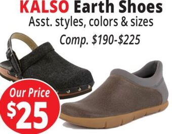 Ocean State Job Lot Kalso earth shoes offer