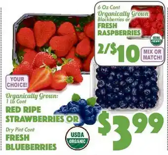 The Food Emporium Red Pipe Strawberries Of Fresh Blueberries, Fresh Raspberries offer