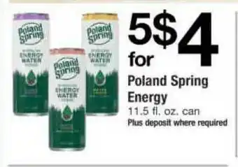 ACME Poland Spring Energy offer