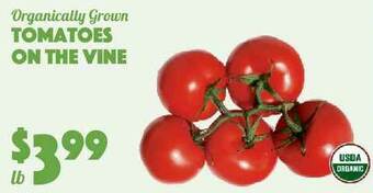 The Food Emporium Tomatoes On The Vine offer