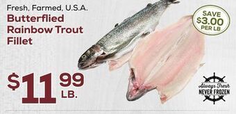DeCicco & Sons Butterflied rainbow trout fillet offer