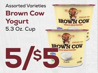 DeCicco & Sons Brown cow yogurt offer