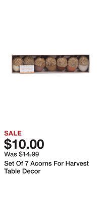 TJ Maxx Set of 7 acorns for harvest table decor offer