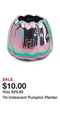TJ Maxx 7in iridescent pumpkin planter offer