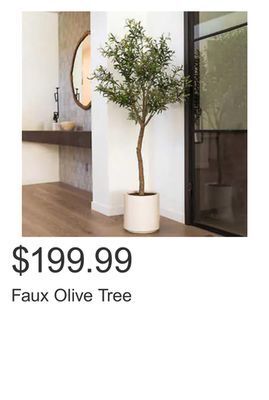 Costco Faux olive tree offer