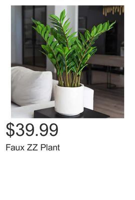 Costco Faux zz plant offer