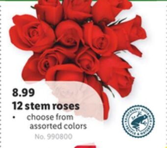 Lidl 12 stem roses offer