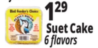 Ocean State Job Lot Suet cake offer
