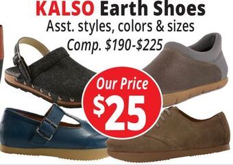 Ocean State Job Lot Kalso earth shoes offer