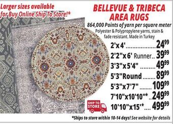 Ocean State Job Lot Bellevue & tribeca area rugs offer