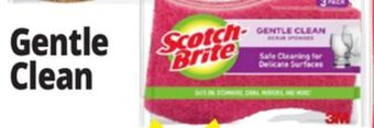Ocean State Job Lot Gentle clean 3 pack sponges offer