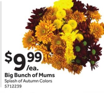 Stop&Shop Big bunch of mums offer
