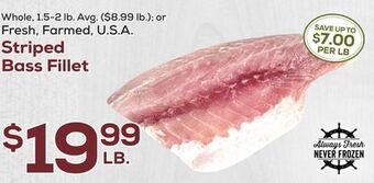 DeCicco & Sons Striped bass fillet offer