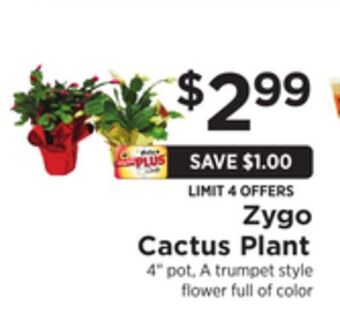 ShopRite Zygo cactus plant offer