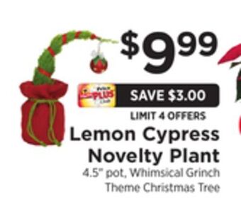 ShopRite Lemon cypress novelty plant offer