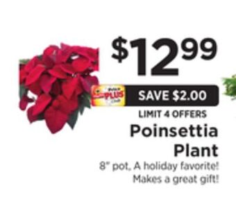 ShopRite Poinsettia plant offer