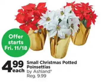 Michaels Small christmas potted poinsettias by ashland® offer