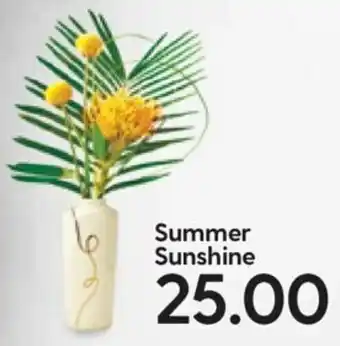 Hy-Vee Summer Sunshine offer