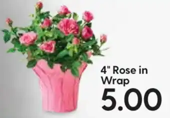 Hy-Vee 4"Rose In Wrap offer