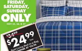 Big Lots Twin real living bed in a bag offer