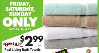 Big Lots Real living bath towels offer
