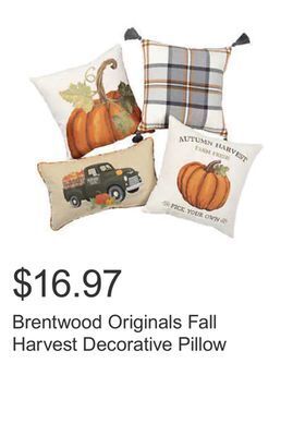 Costco Brentwood originals fall harvest decorative pillow offer