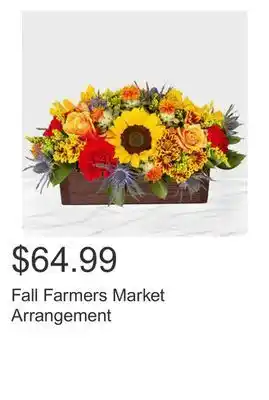 Costco Fall farmers market arrangement offer