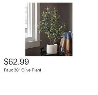 Costco Faux 30" olive plant offer