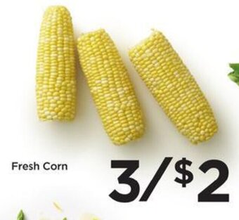Foods Co Fresh Corn offer