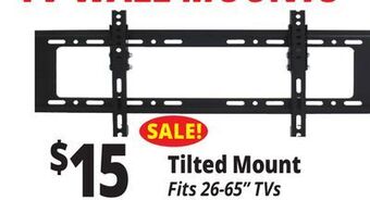 Ocean State Job Lot Tilted mount offer