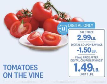 Kings Food Markets Tomatoes on the vine offer