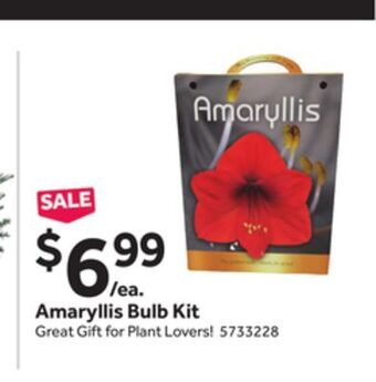 Stop&Shop Amaryllis bulb kit offer