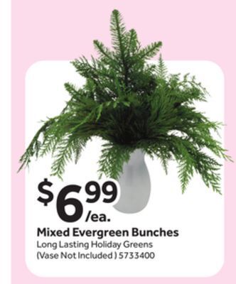 Stop&Shop Mixed evergreen bunches offer