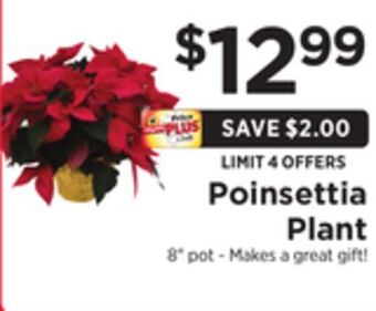 ShopRite Poinsettia plant offer