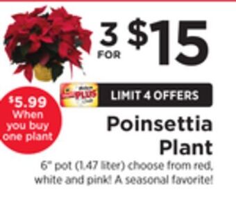 ShopRite Poinsettia plant offer