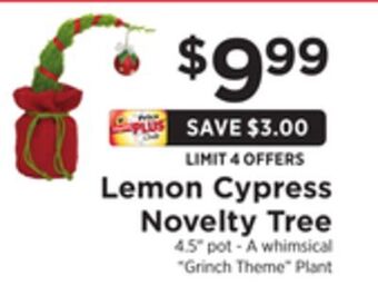 ShopRite Lemon cypress novelty tree offer